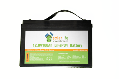 Lithium Batterie 12V 100Ah